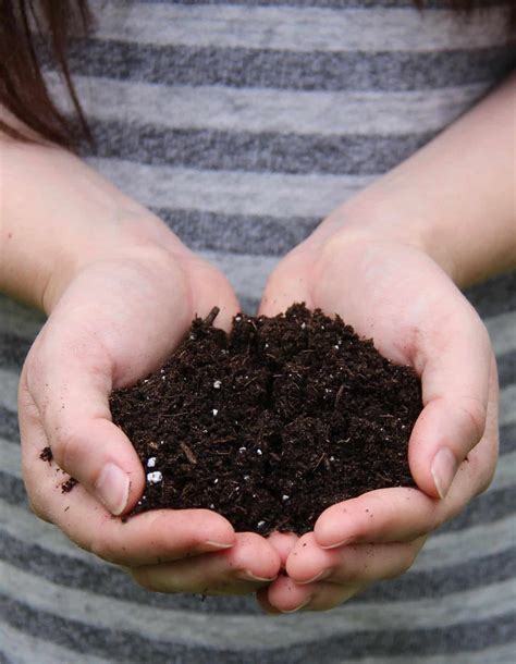 Types of soil