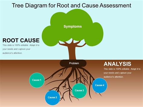 tree diagram  root   assessment  powerpoint  gall