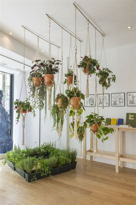 22 Stunning Ideas For Indoor House Plant - The Architecture Designs