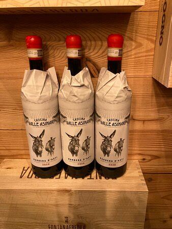 RENATINO A TUTTA CICCIA, Turin - Restaurant Reviews, Photos & Phone ...