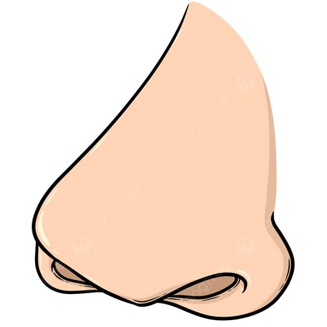 cartoon nose nose clipart cartoon clipart nose png transparent