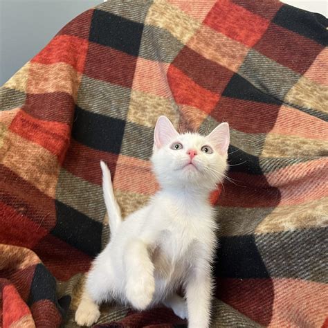 The wilbur wilbur rise to fame includes a surprising secret 14