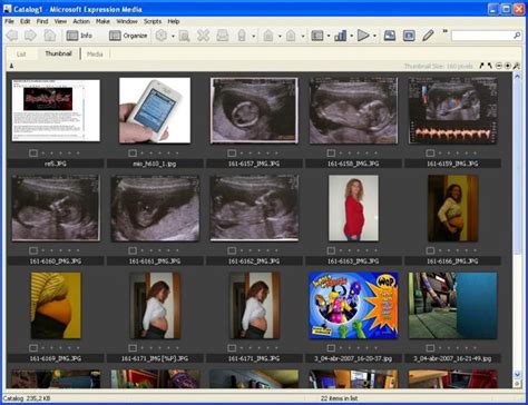 microsoft expression media