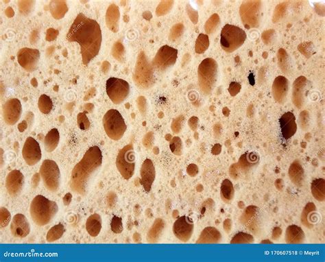 The Porous Texture of a Light Sponge Stock Photo - Image of color ...