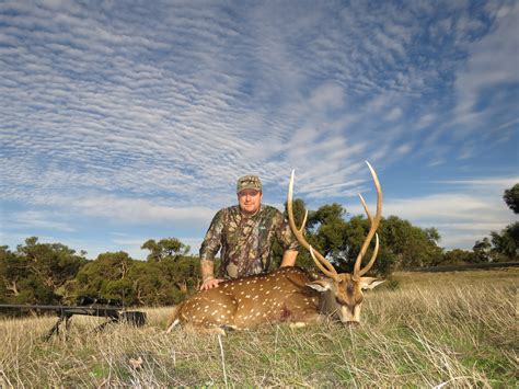 IMG_1319 | Tru Blu Hunting