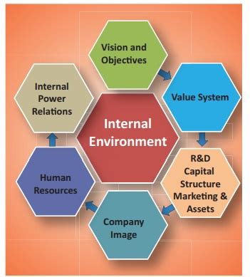 Types of Business Environment