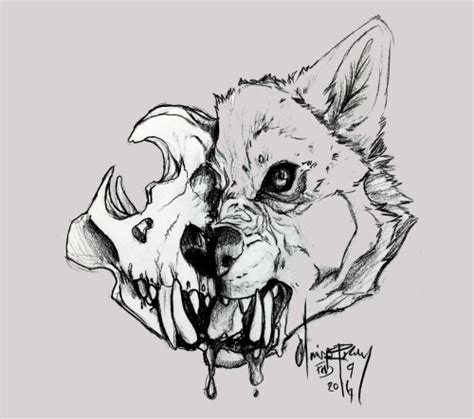 Wolf Skull Drawing at PaintingValley.com | Explore collection of Wolf ...