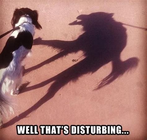 LOL Dog: Well, that's disturbing... :: Funny :: MyNiceProfile.com