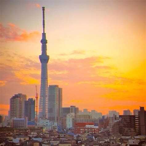 skytree stunning night view  tokyo
