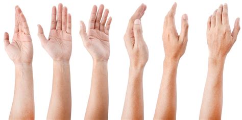 average hand size chart violin size chart choose   size