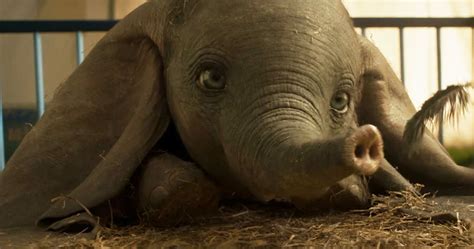 Découvrez la nouvelle bande-annonce déchirante de Dumbo de Tim Burton ...