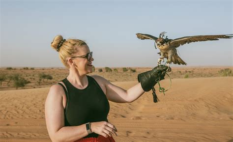 Customer reward programmes | XSEM