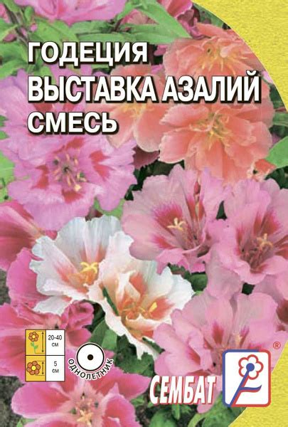 Годеция Сембат Годеция - купить по выгодным ценам в интернет-магазине ...