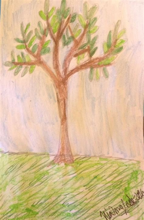 skinny tree  creativenia  deviantart