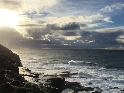 Kim French on Twitter: "Noust Noust in the grass grass in the wind wind