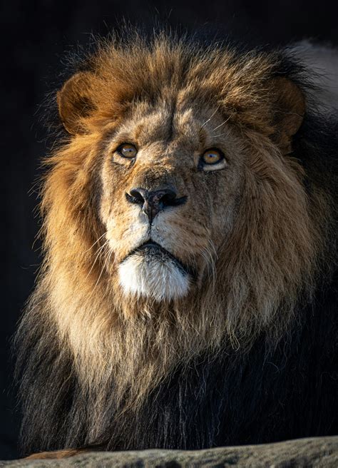 Big+Booty+Gothic+Women Photos, Download The BEST Free Big+Booty+Gothic