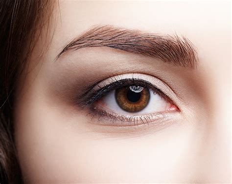 brow trends jasmine beauty therapy