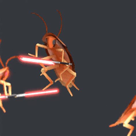 Cockroach Star Wars GIF - Cockroach StarWars LightSaber - Discover ...