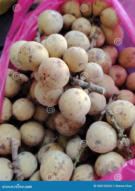 duku  langsat fruits isolated  white background wollongong fruit