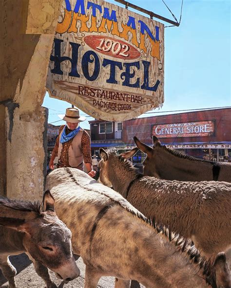 Oatman Donkeys, Arizona Photograph by Don Schimmel - Pixels