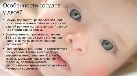 Анатомо-физиологические особенности сердечно-сосудистой системы детей ...