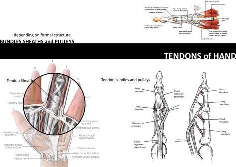 FIBERMESH | the connection – IAAC Blog