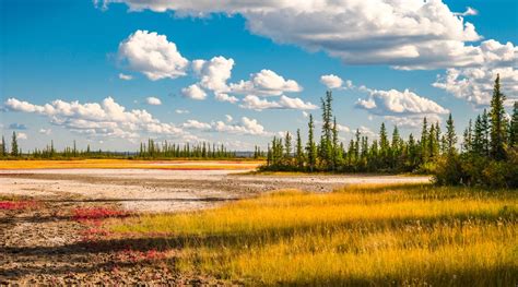 A list of every National Park in Alberta you can visit for free in 2017 ...