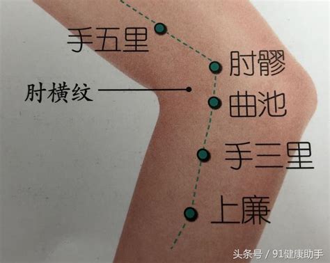 穴位養生｜肘痛、屈伸不利按揉肘髎穴，舒筋活絡 - 每日頭條