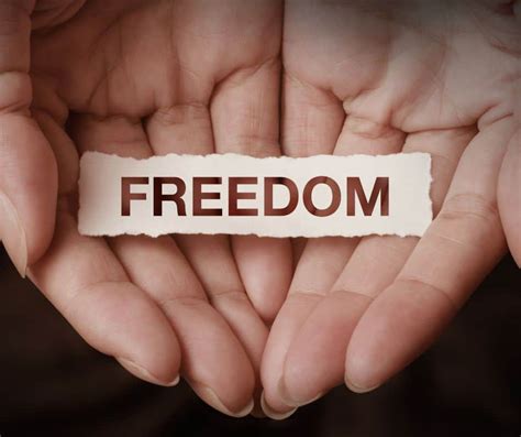 fight  food freedom life unbinged