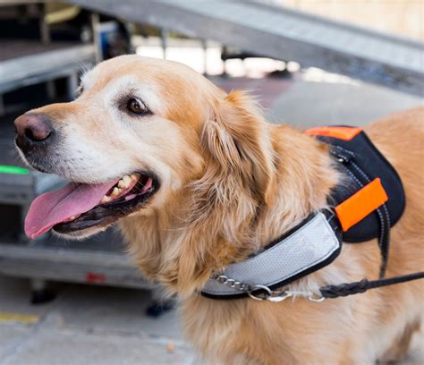 Digital testing centers will soon host more dcas nyc exams 1