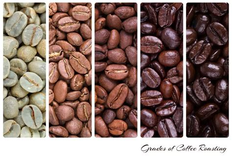 The 3 Main Coffee Roast Levels: Light, Medium And Dark - Craft Coffee Guru