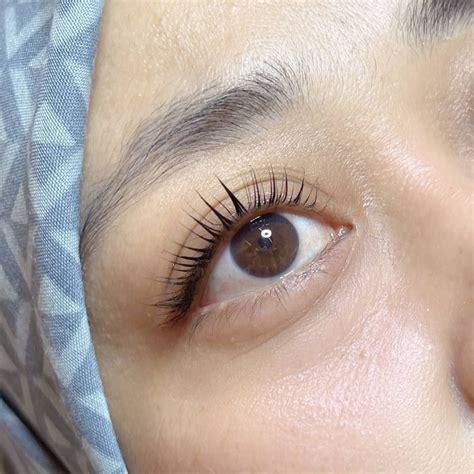 Lash - Lashility