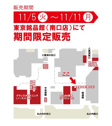 JRæ ±äº¬é§ ä¸­å¤®é è·¯_â 22-014(æ¡ å å ³) ｜ 新着情報｜東京ひよ子