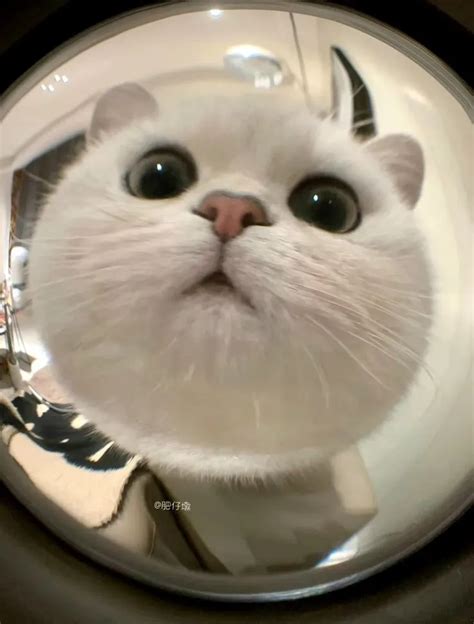 รูปโปรไฟล์น่ารักๆig - การค้นหาใน Lemon8