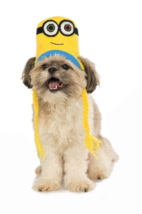 Minion Bob Knit Hat Dog Costume - Pet Costume Center