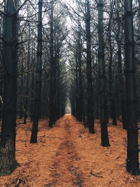 Connecticut Aesthetic Currently Doing State... - Aesthetically Astrology