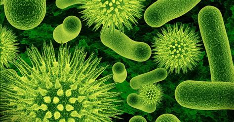 Doencas Causadas Por Virus