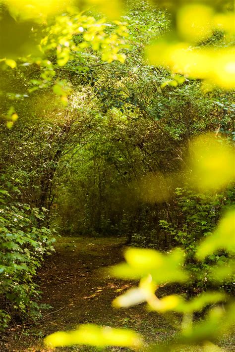 Taylor Robbins Photography - Home