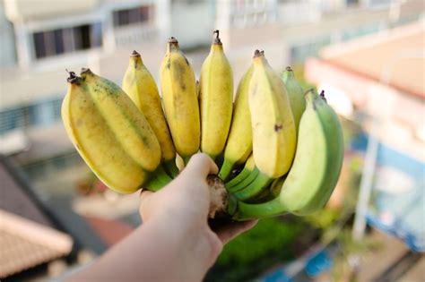 premium photo cropped hand holding banana