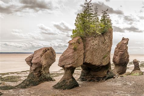 Sept 14, 2020 – Hopewell Rocks, New Brunswick – Rob Faucher's Blog