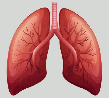 lung care    mariah couture raise blood oxygen levels