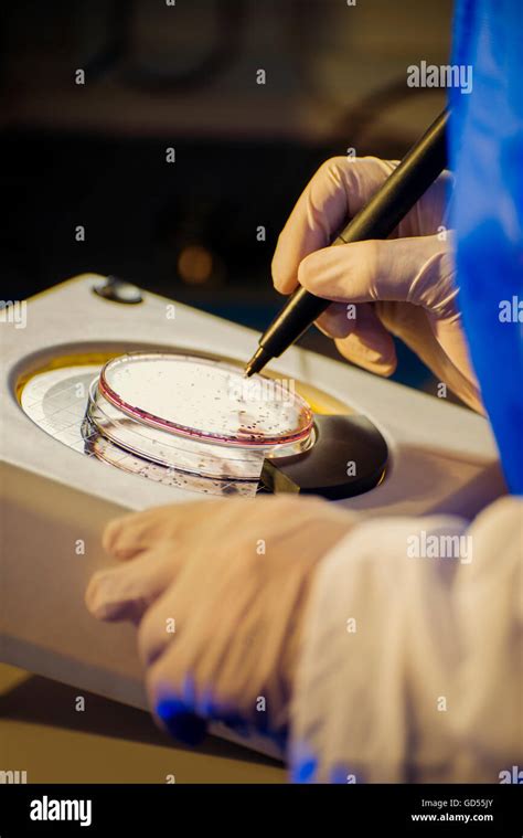 Biochemical test for bacteria hi-res stock photography and images - Alamy