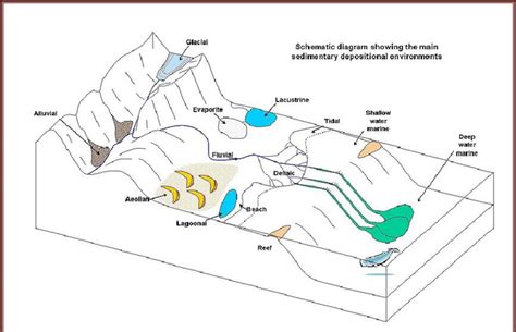 Types of continental Sedimentary Environments. | Download Scientific ...