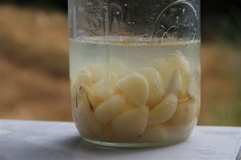 Чесночная вода: рецепт приготовления настойки - Со Вкусом