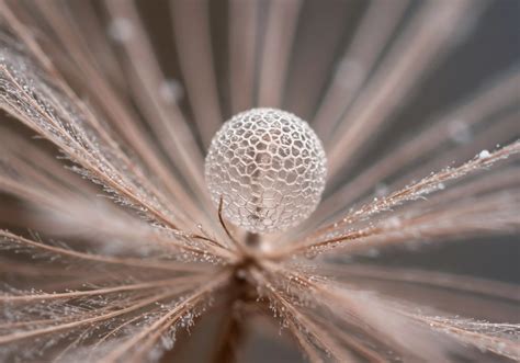 How Do Wellness Programs Influence Long-Term Sustainable Habits? → Question