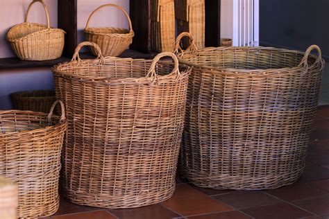 fish basket kzn society   blind