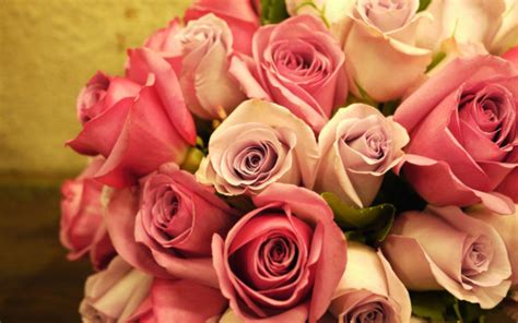 3840x2400 Pink Roses Bouquet 4K ,HD 4k Wallpapers,Images,Backgrounds ...