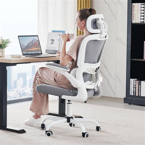 DROGO Premium Ergonomic Office Chair for Work from Home, High Back