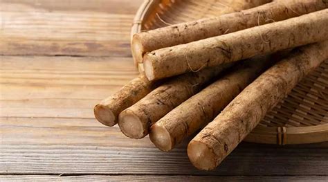 burdock root benefits detox  antioxidant