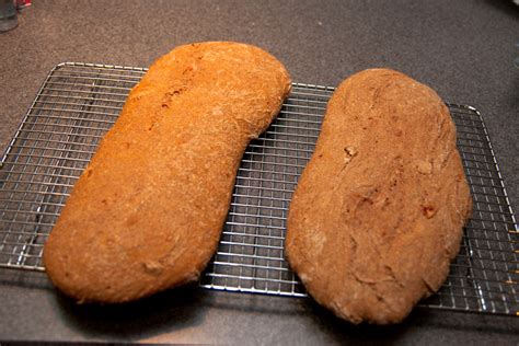 Seth's House » Blog Archive » 100% Whole Wheat Quick Ciabatta Recipe